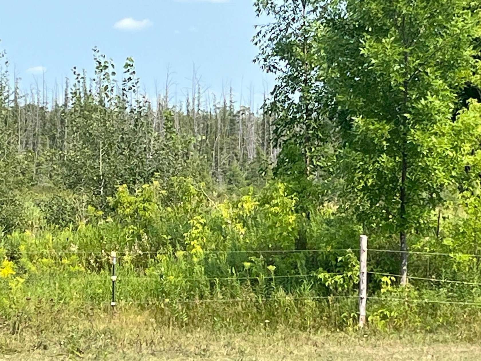40 Acres of Recreational Land for Sale in Braham, Minnesota