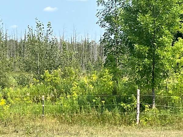 40 Acres of Recreational Land for Sale in Braham, Minnesota