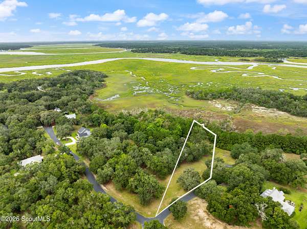 1.39 Acres of Land for Sale in Townsend, Georgia