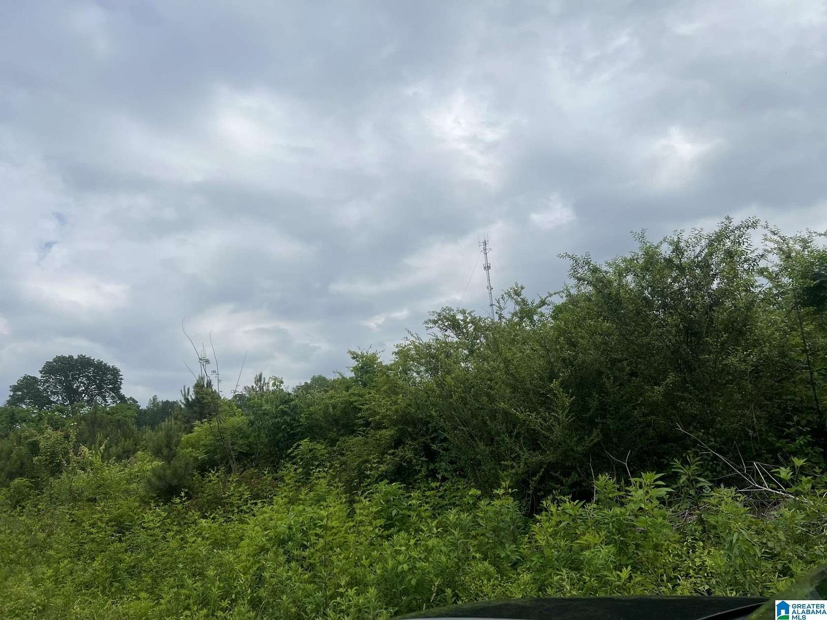 40.2 Acres of Recreational Land for Sale in Steele, Alabama