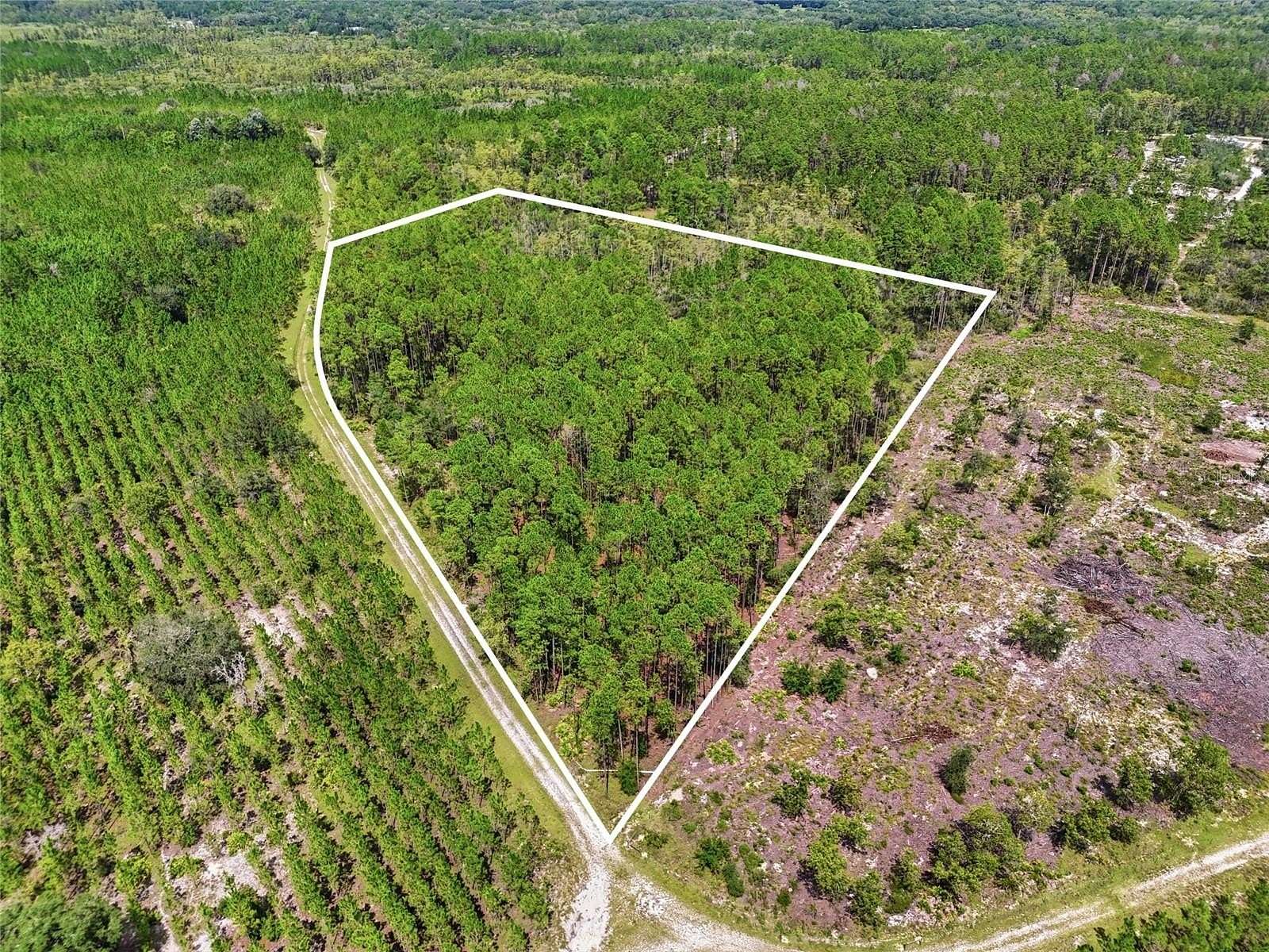 13.1 Acres of Land for Sale in Trenton, Florida