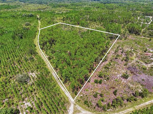 13.1 Acres of Land for Sale in Trenton, Florida