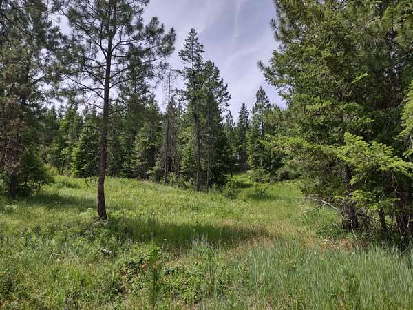 40 Acres of Land for Sale in Springdale, Washington