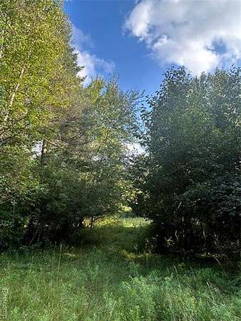 10.1 Acres of Recreational & Residential Land for Sale in Wells Township, Michigan