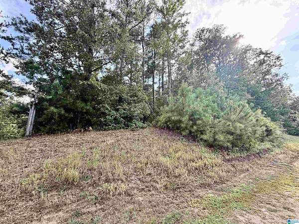 1 Acre of Residential Land for Sale in Clanton, Alabama