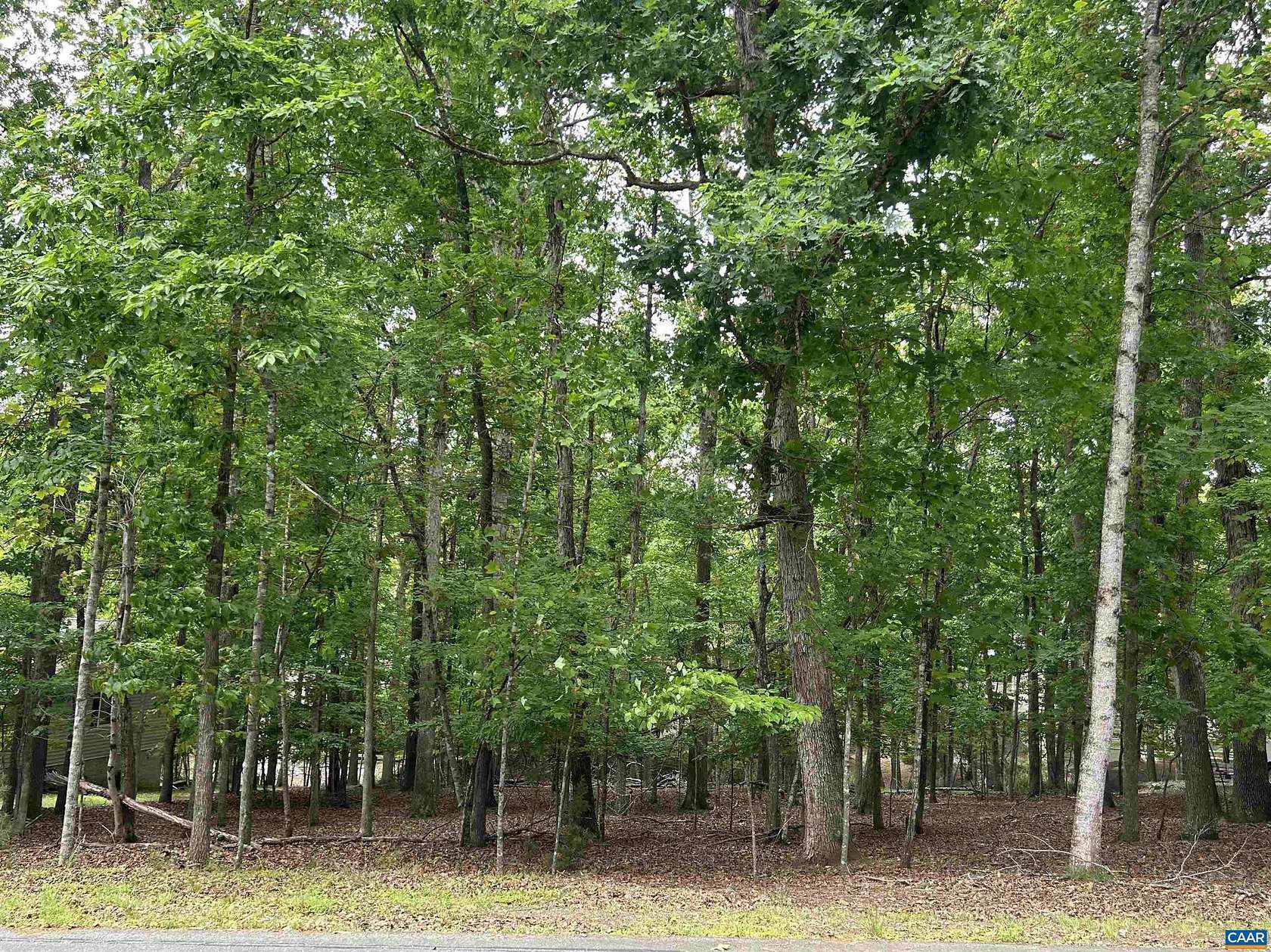 0.34 Acres of Residential Land for Sale in Palmyra, Virginia