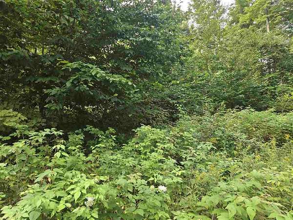 1.62 Acres of Residential Land for Sale in Boyne City, Michigan