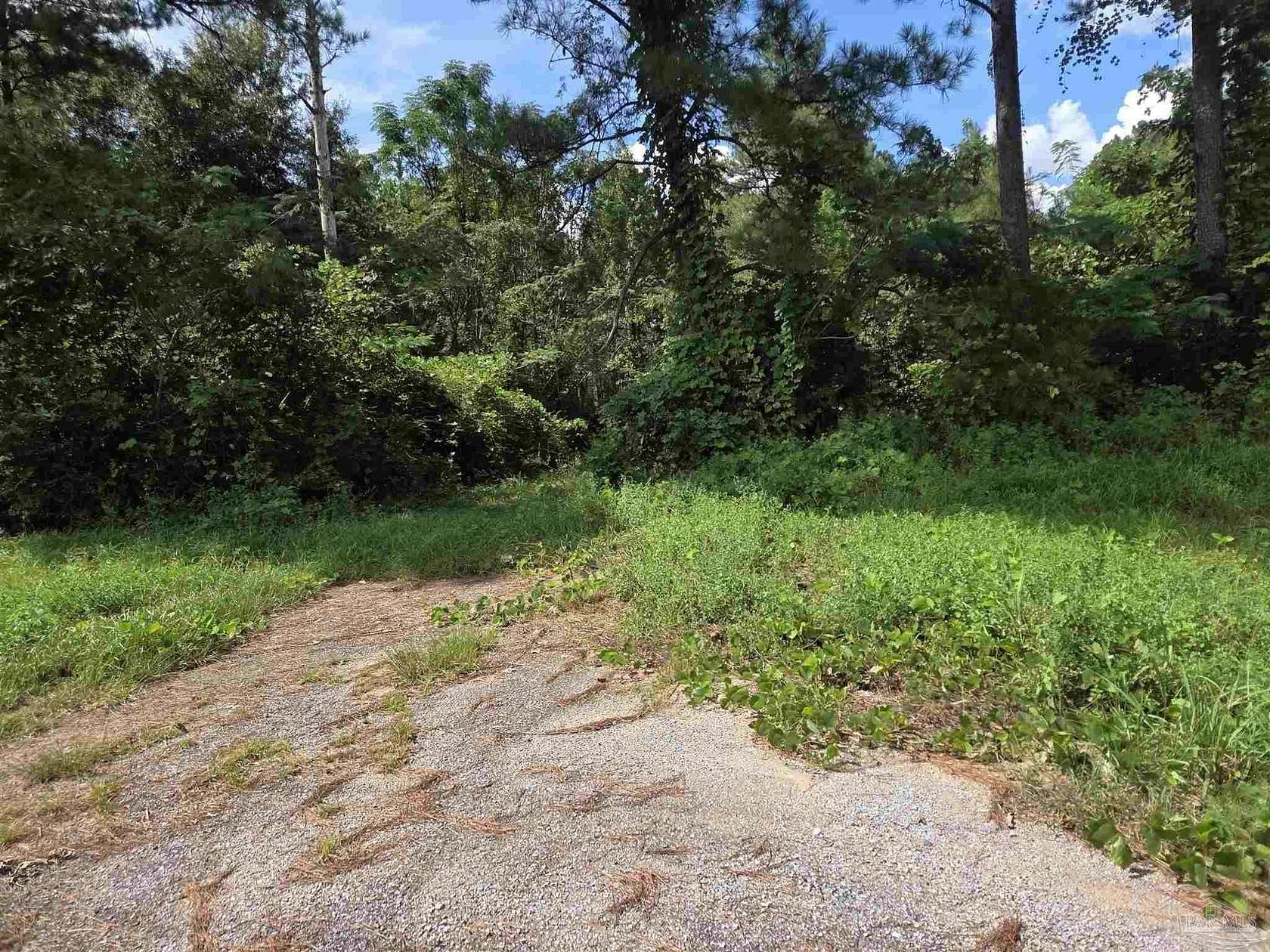 24 Acres of Land for Sale in Century, Florida