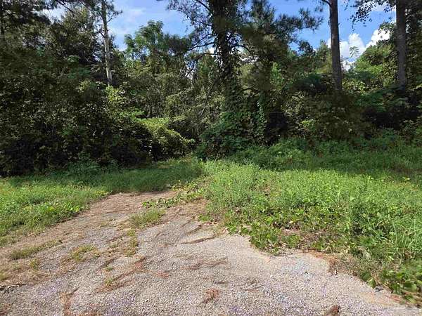 24 Acres of Land for Sale in Century, Florida