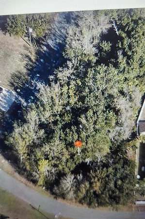 0.33 Acres of Residential Land for Sale in Poinciana, Florida