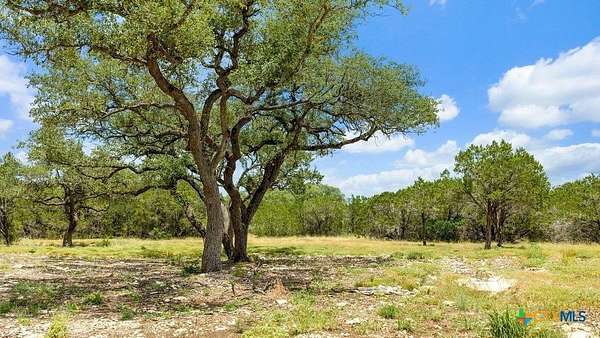 11 Acres of Land for Sale in Spring Branch, Texas