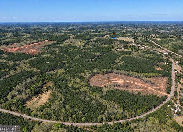 40 Acres of Land for Sale in Thomaston, Georgia