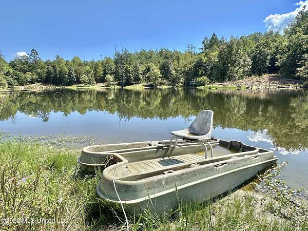 145 Acres of Recreational Land for Sale in West, Mississippi