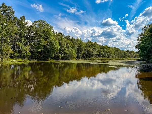 130 Acres of Recreational Land with Home for Sale in Selma, Alabama