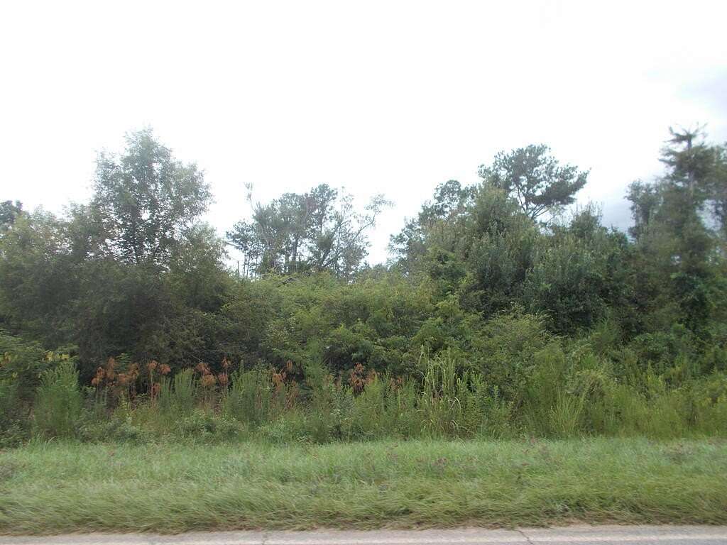 256 Acres of Recreational Land for Sale in Axson, Georgia