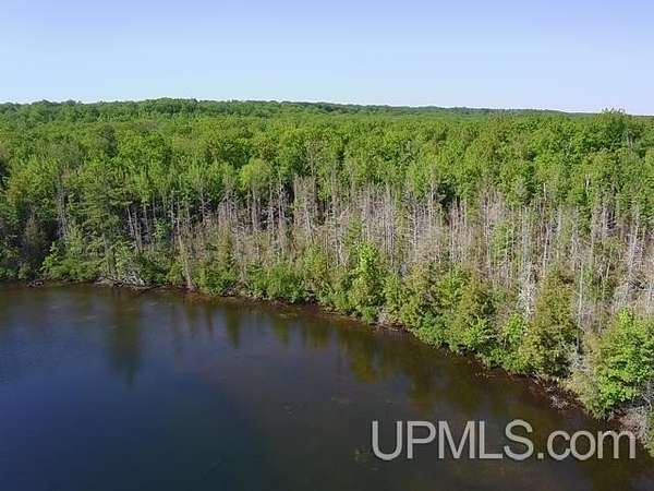 33.4 Acres of Recreational & Residential Land for Sale in Goodman Town, Wisconsin