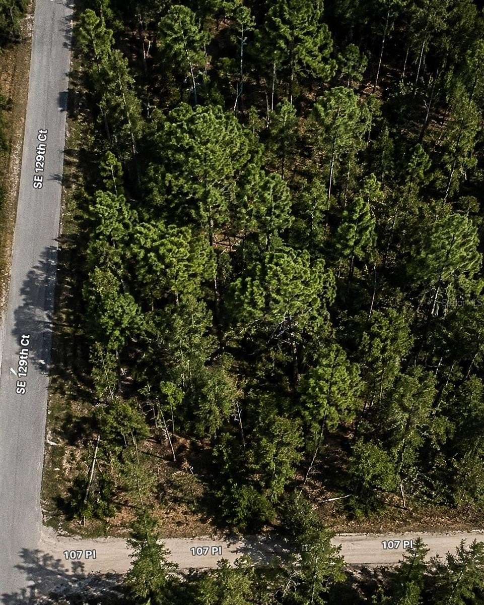 0.26 Acres of Residential Land for Sale in Dunnellon, Florida