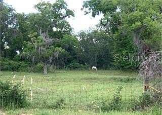 12.7 Acres of Land for Sale in Hawthorne, Florida
