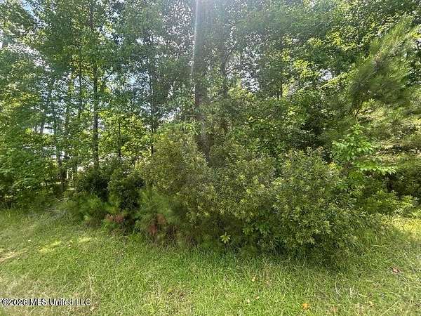 0.5 Acres of Residential Land for Sale in Pachuta, Mississippi