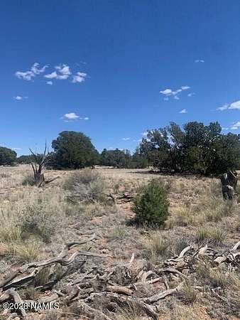 1 Acre of Land for Sale in Williams, Arizona