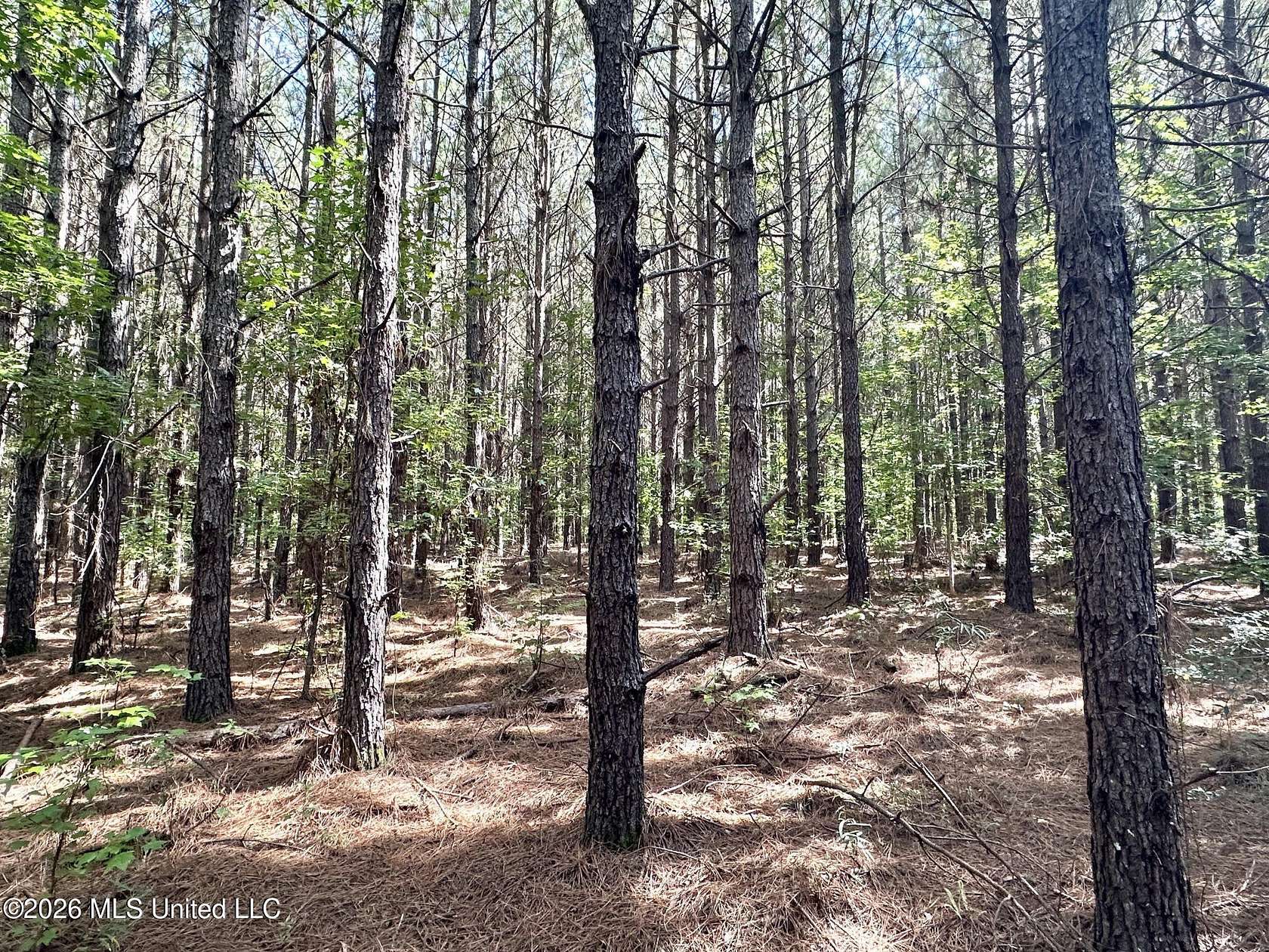 7 Acres of Land for Sale in Magee, Mississippi