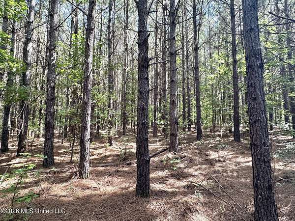 7 Acres of Land for Sale in Magee, Mississippi