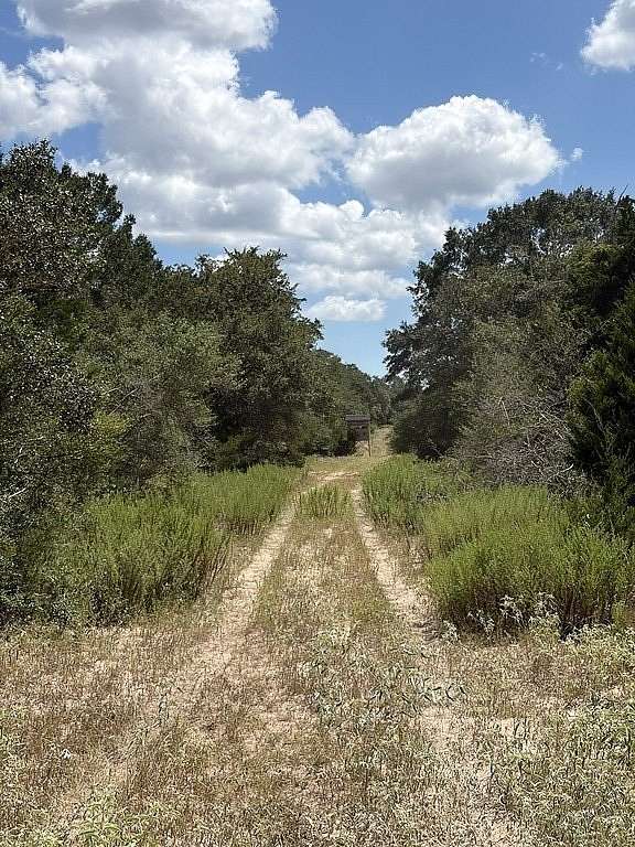 26.9 Acres of Recreational Land for Sale in Hallettsville, Texas