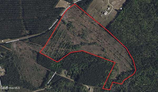 62.1 Acres of Land for Sale in Council, North Carolina