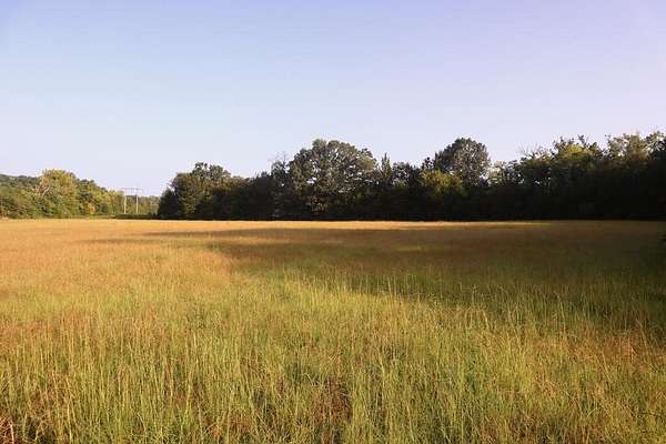 78 Acres of Recreational & Residential Land for Sale in Tupelo, Mississippi