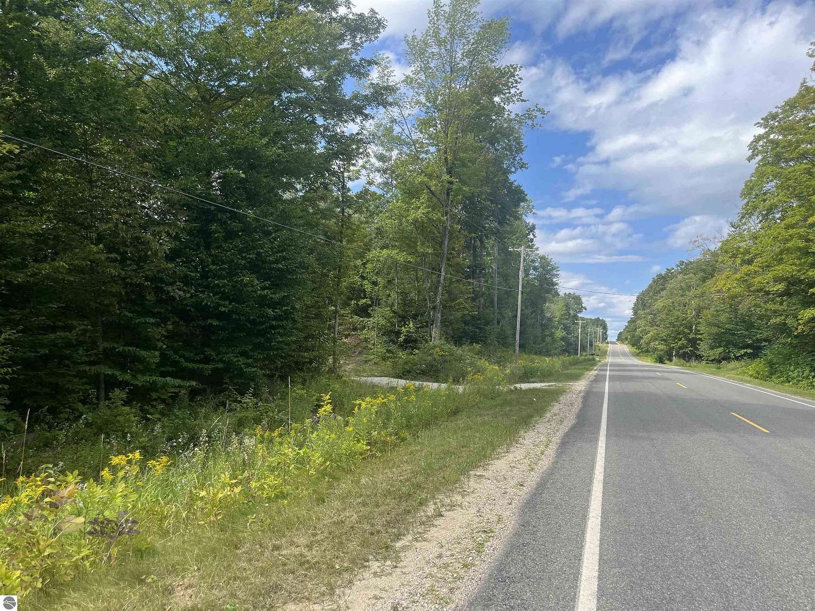 20 Acres of Recreational Land for Sale in Lake City, Michigan