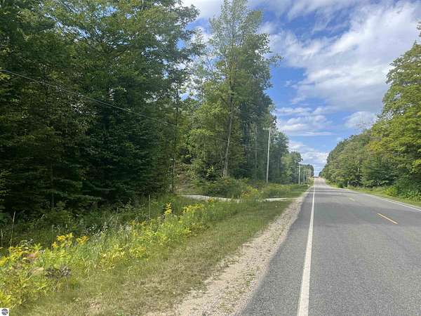 20 Acres of Recreational Land for Sale in Lake City, Michigan