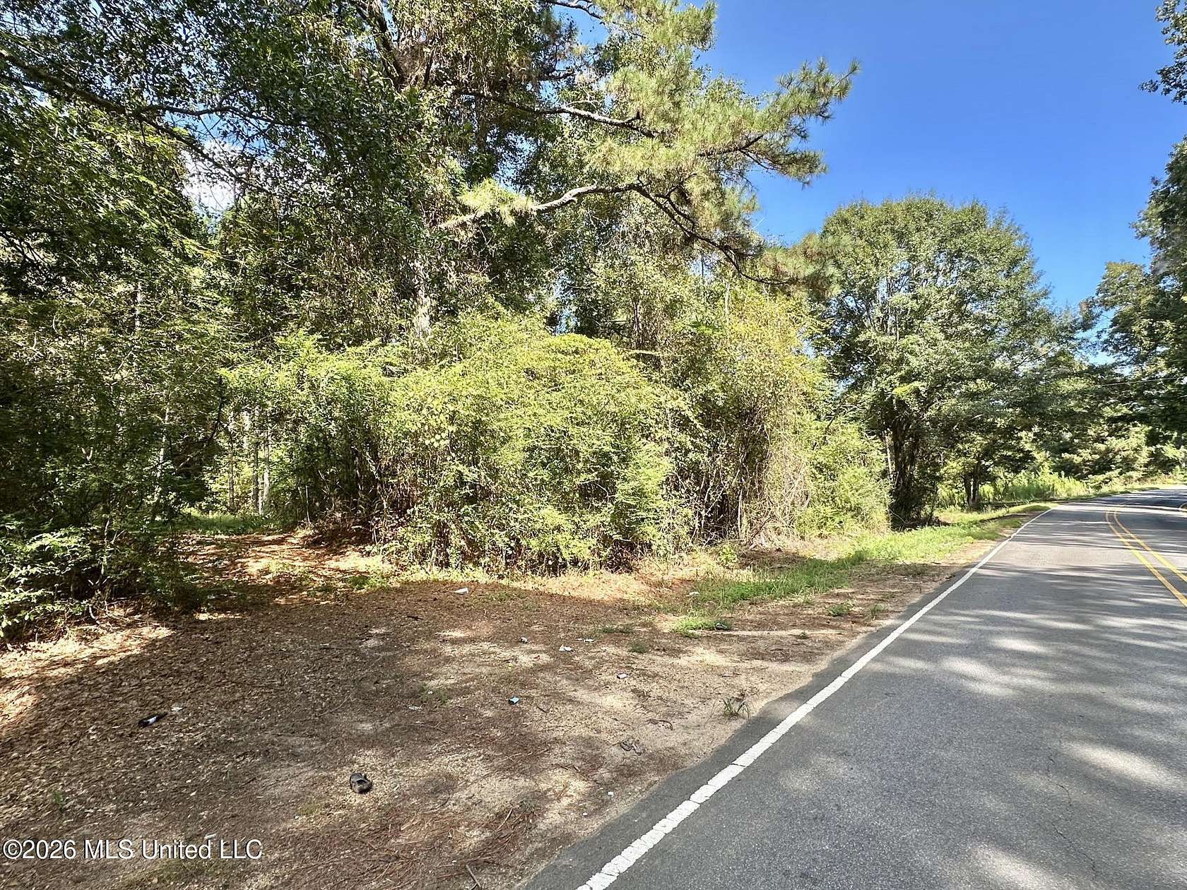24 Acres of Recreational Land for Sale in Magee, Mississippi