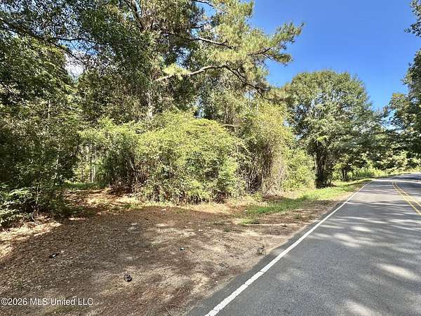 24 Acres of Recreational Land for Sale in Magee, Mississippi