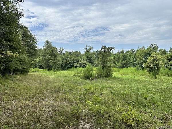 80 Acres of Recreational Land for Sale in Magnolia, Arkansas