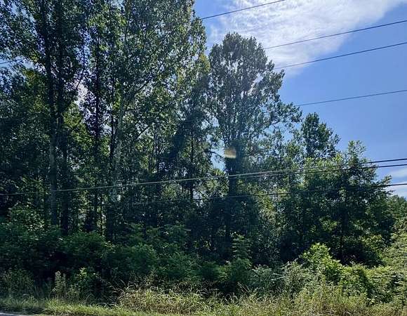 25 Acres of Recreational & Residential Land for Sale in Drift, Kentucky