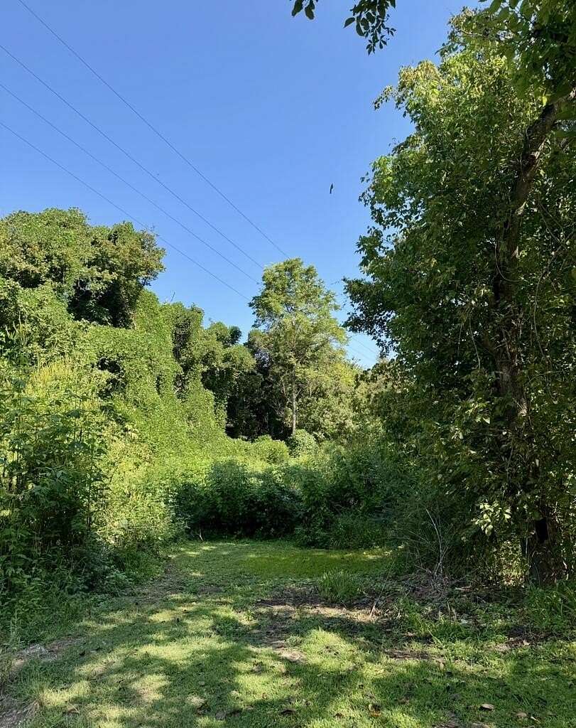 15 Acres of Recreational & Residential Land for Sale in Drift, Kentucky