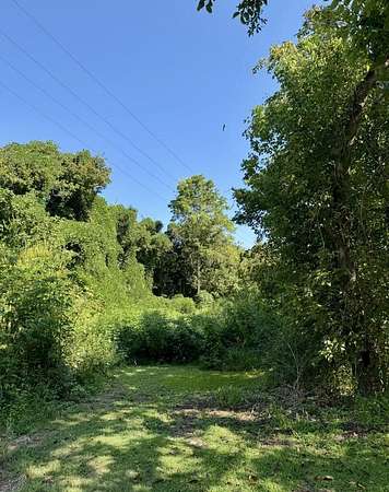 15 Acres of Recreational & Residential Land for Sale in Drift, Kentucky