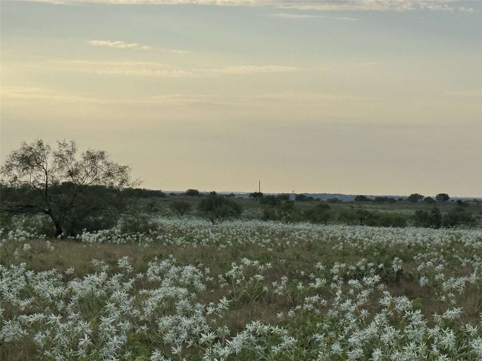 17.1 Acres of Land for Sale in Decatur, Texas