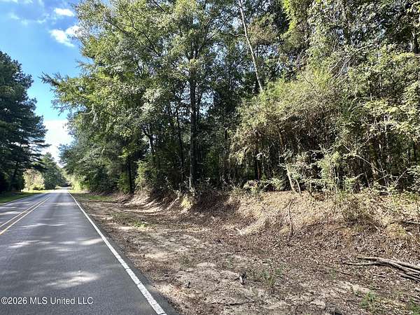 23 Acres of Recreational Land for Sale in Magee, Mississippi