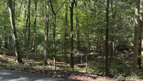 4.5 Acres of Residential Land for Sale in Blue Ridge, Georgia