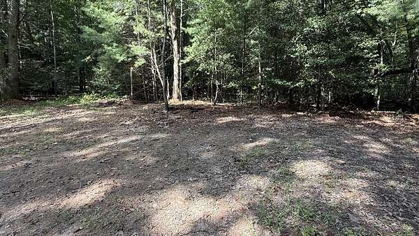 6 Acres of Residential Land for Sale in Blue Ridge, Georgia