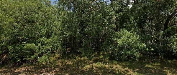 0.39 Acres of Land for Sale in Spring Hill, Florida