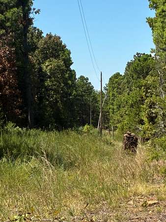4 Acres of Land for Sale in Wister, Oklahoma