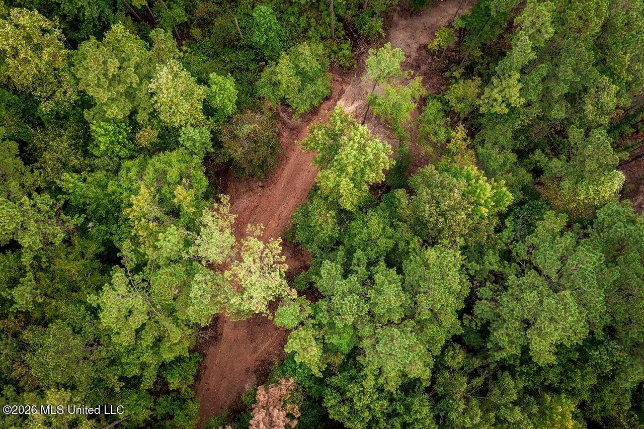 13 Acres of Land for Sale in Meadville, Mississippi