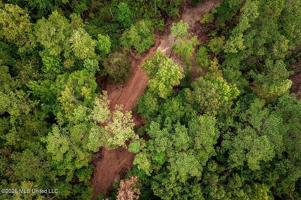 13 Acres of Land for Sale in Meadville, Mississippi