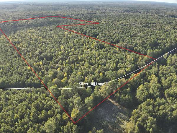 60 Acres of Land for Sale in Mount Holly, Arkansas