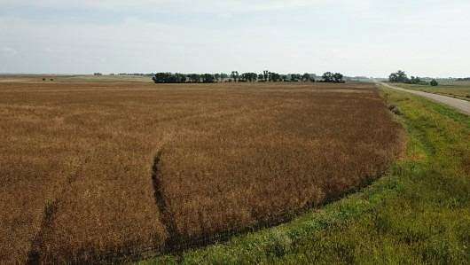 164 Acres of Agricultural Land for Sale in Harvey, North Dakota