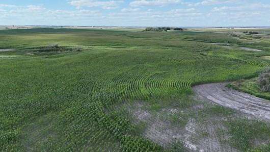 114 Acres of Agricultural Land for Sale in Minnewaukan, North Dakota