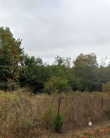 7.5 Acres of Land for Sale in Graceville, Florida