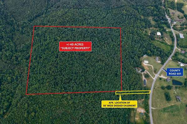 40 Acres of Land for Sale in Booneville, Mississippi
